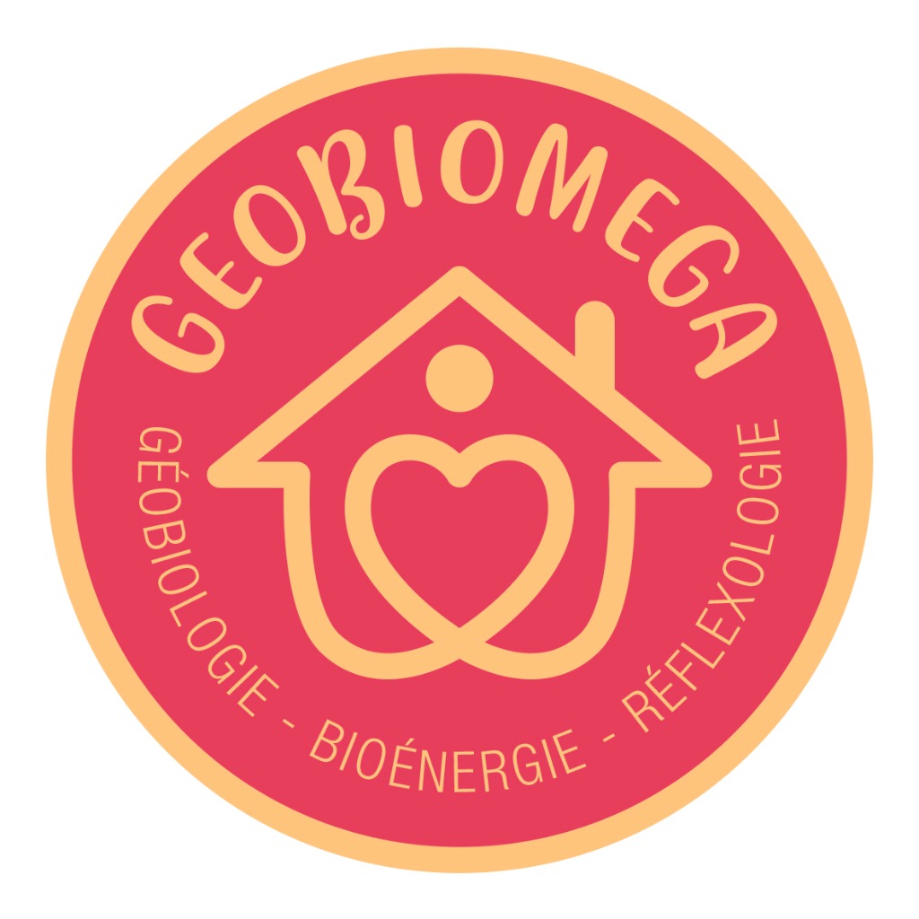 photo activite Arnaud de Luzan