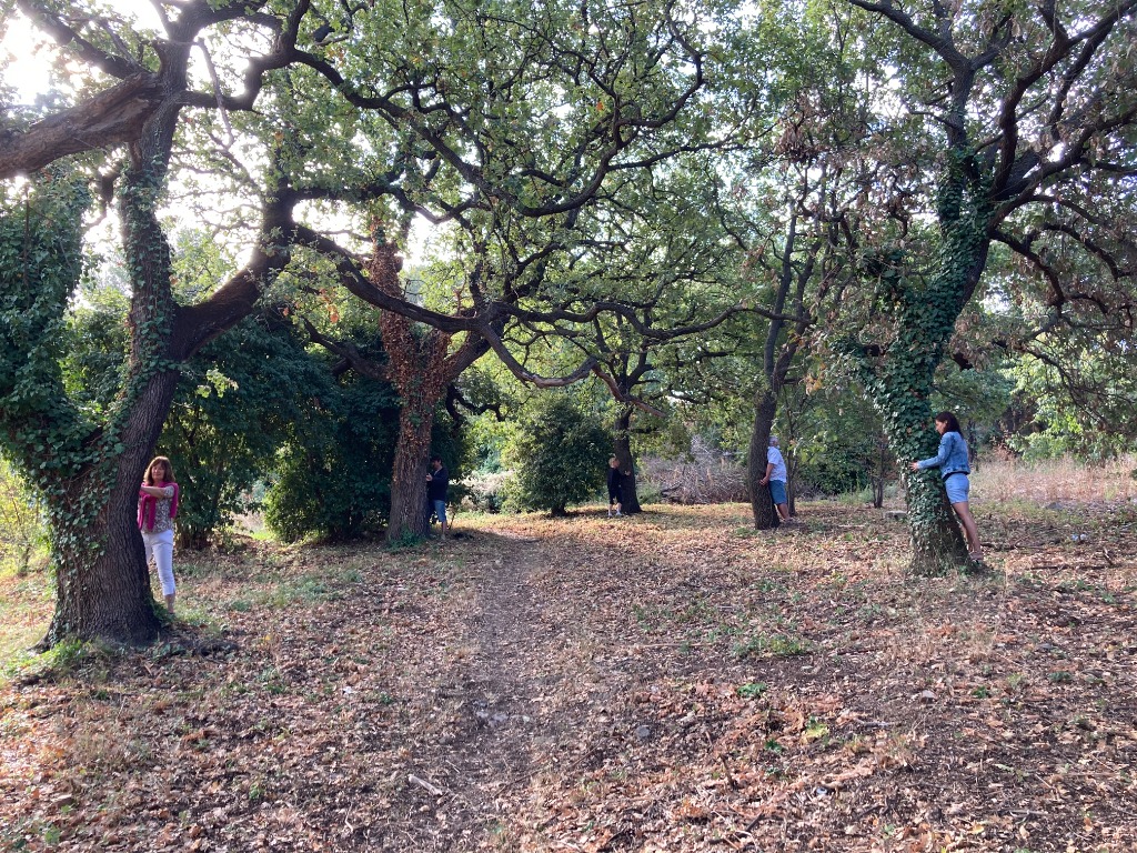 photo activite Philippe HOUOT