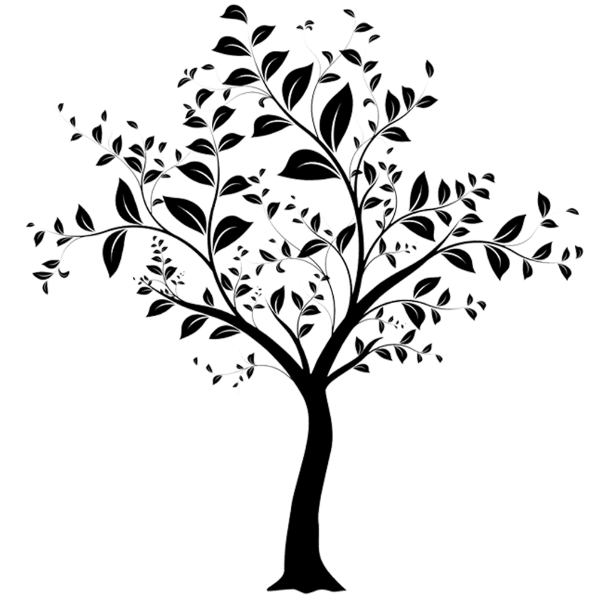 Nadege Bray réflexologie