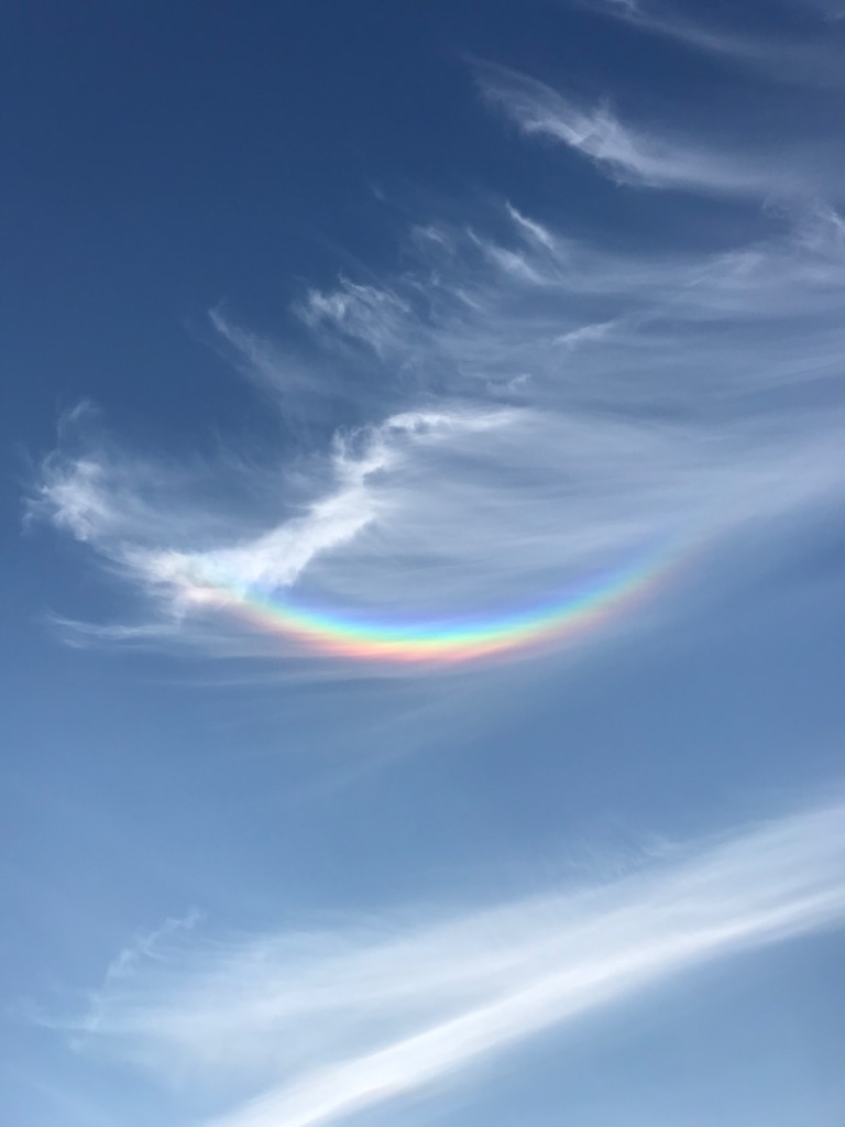 photo portrait Raymond Perez