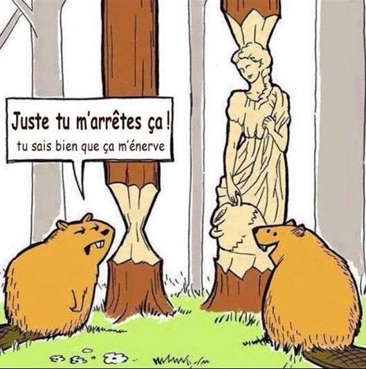 photo diplome Corine Depeyrot