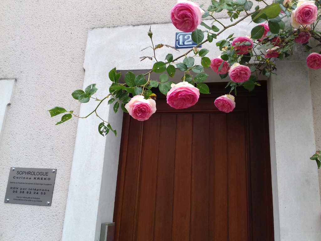 photo seance Corinne KRÉKO