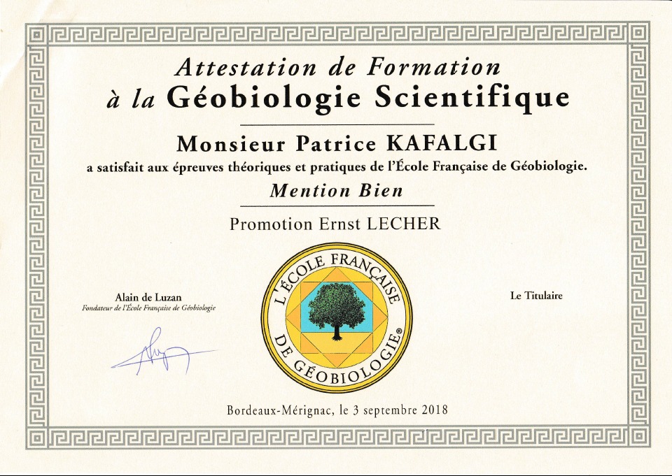 photo diplome Patrice KAFALGI