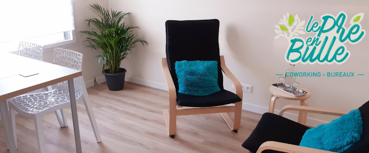 photo seance SLG Coaching Conseil Formation