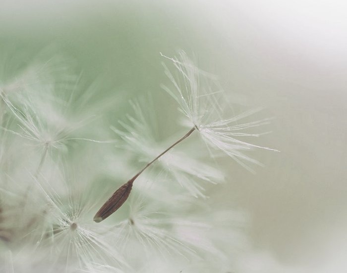 photo seance Christel Fayard  I  A chaque Inspiration