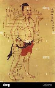 photo activite Nicolas Gautier