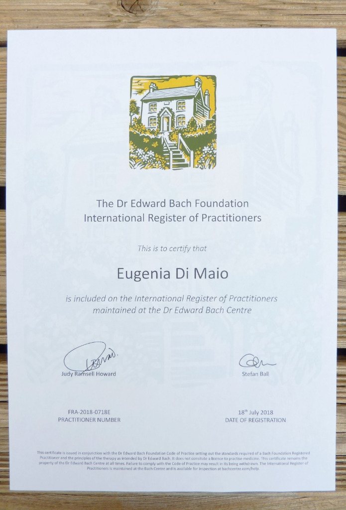 photo diplome Eugenia di Maio