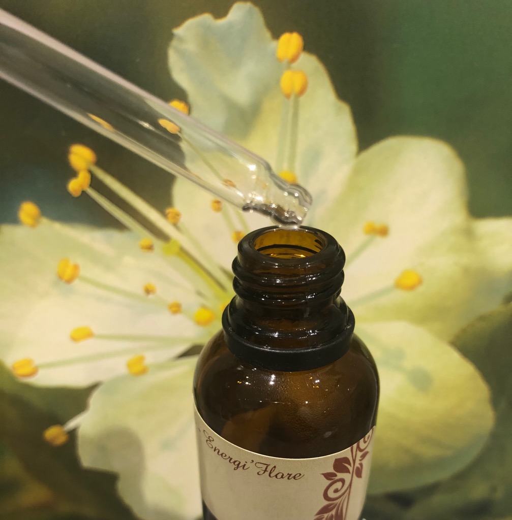 photo cabinet Sonia Stellati