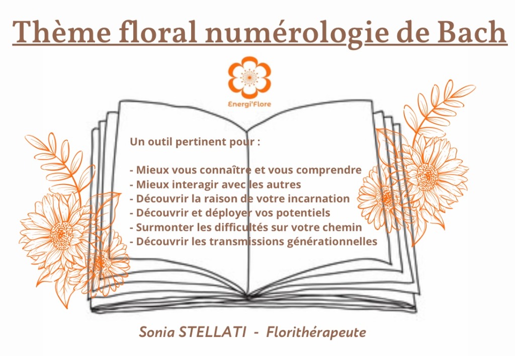 photo diplome Sonia Stellati