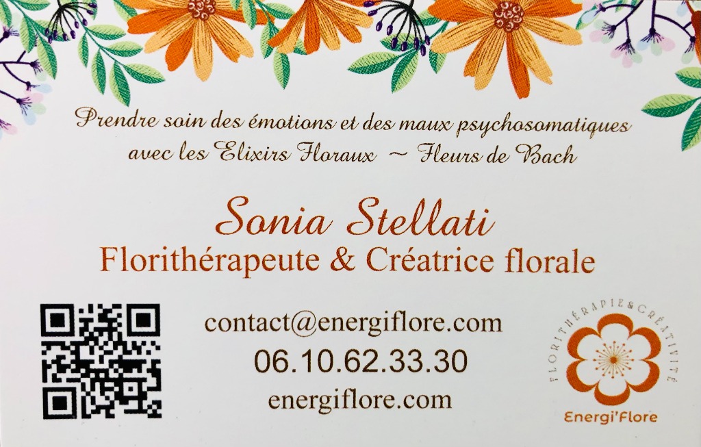 photo seance Sonia Stellati
