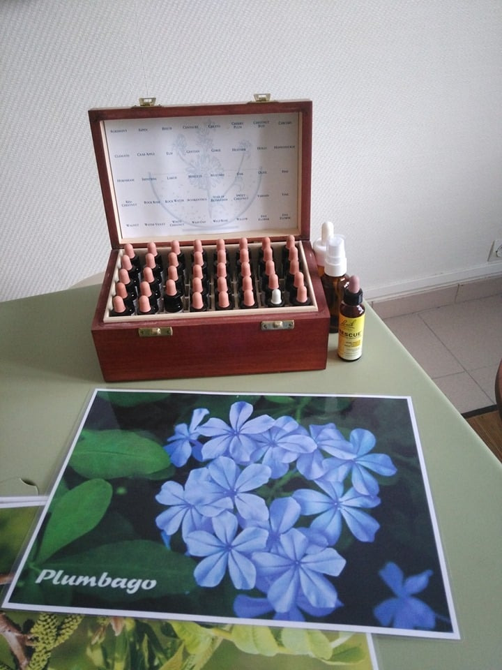 photo activite Sylvie Caron