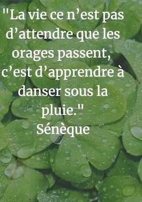 photo activite Laurence HANRION