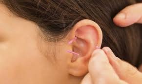 photo activite Caroline Chevalier