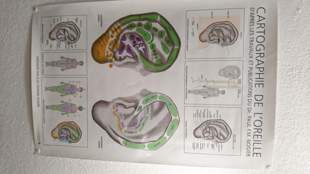 photo activite Fortuné Florence