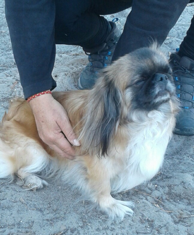 photo cabinet Zen-reikitude 