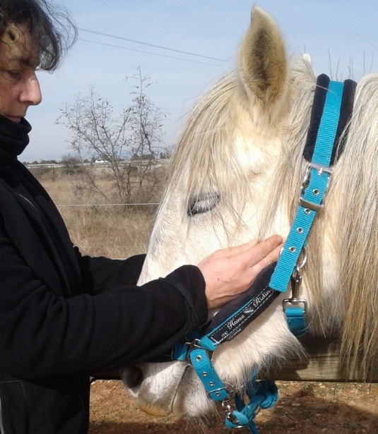 photo portrait Zen-reikitude 