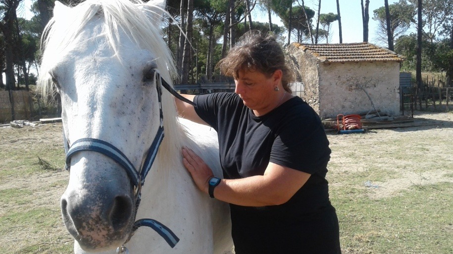 photo seance Zen-reikitude 