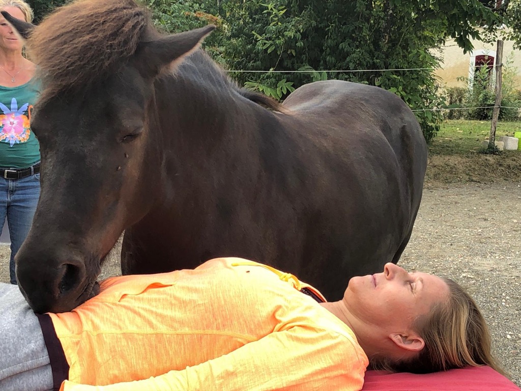 photo activite Nynke Huijzer-Groenewegen