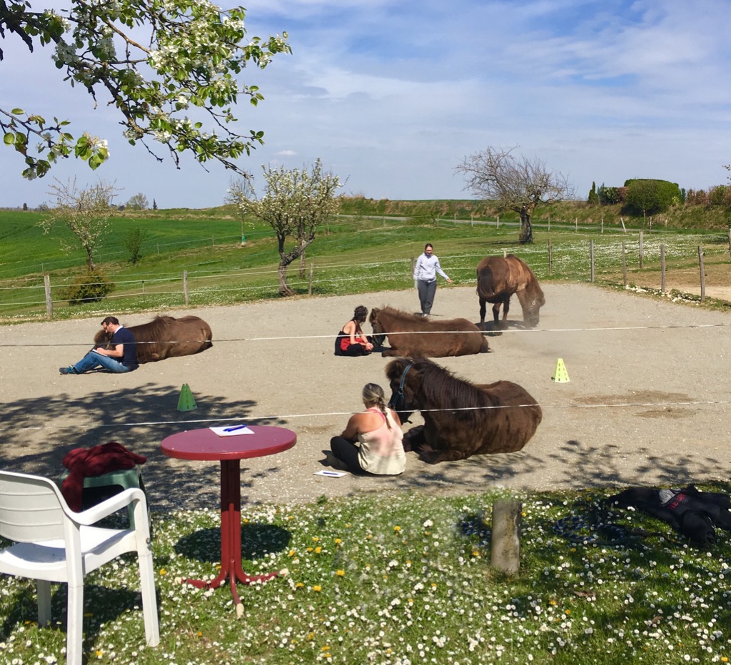 photo cabinet Nynke Huijzer-Groenewegen