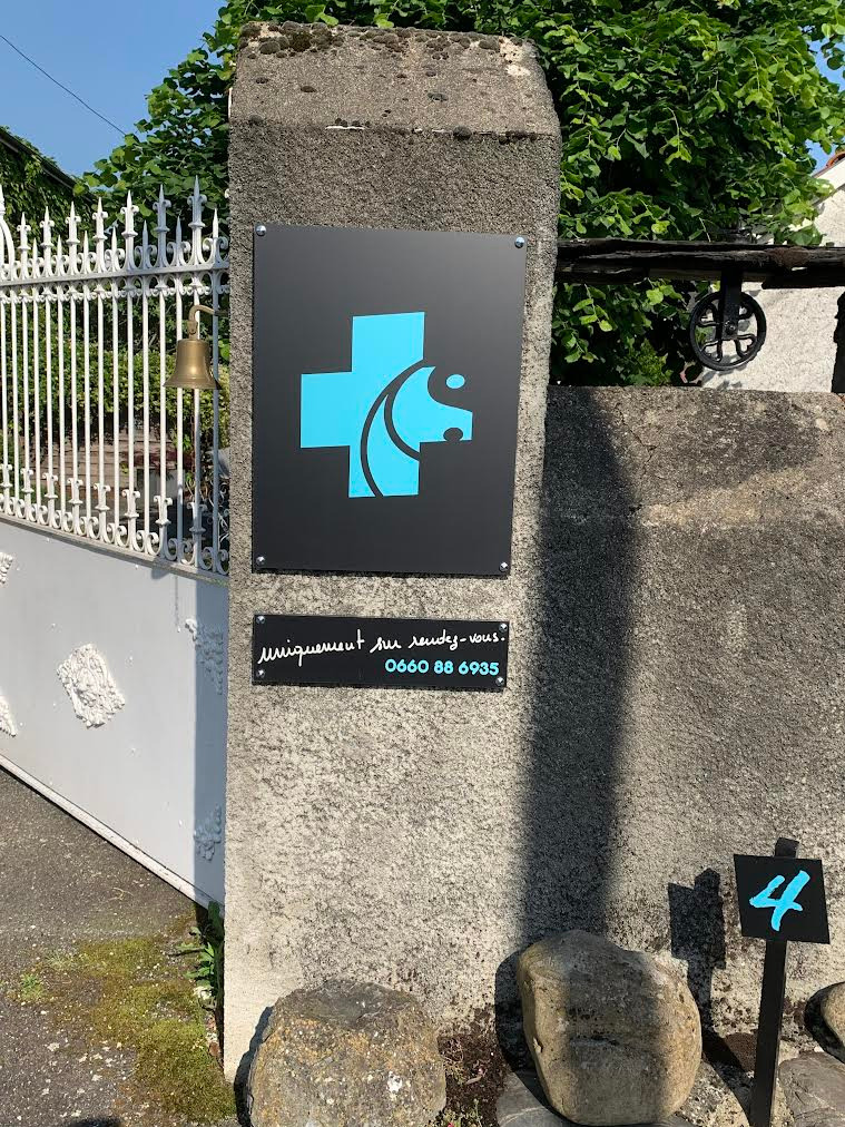 photo seance MAGS le Guérisseur