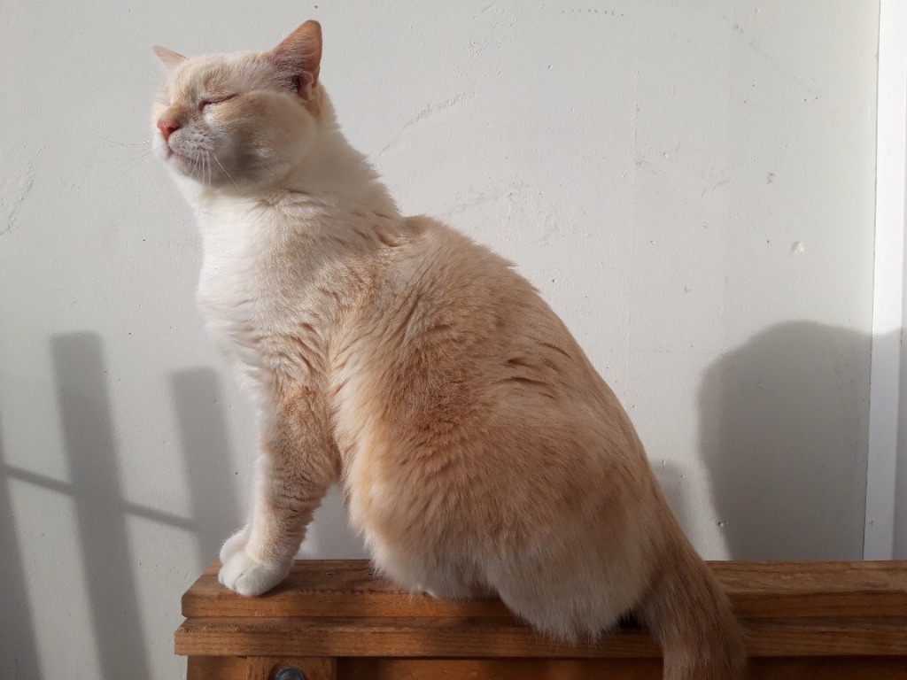 photo activite Lionel Moal