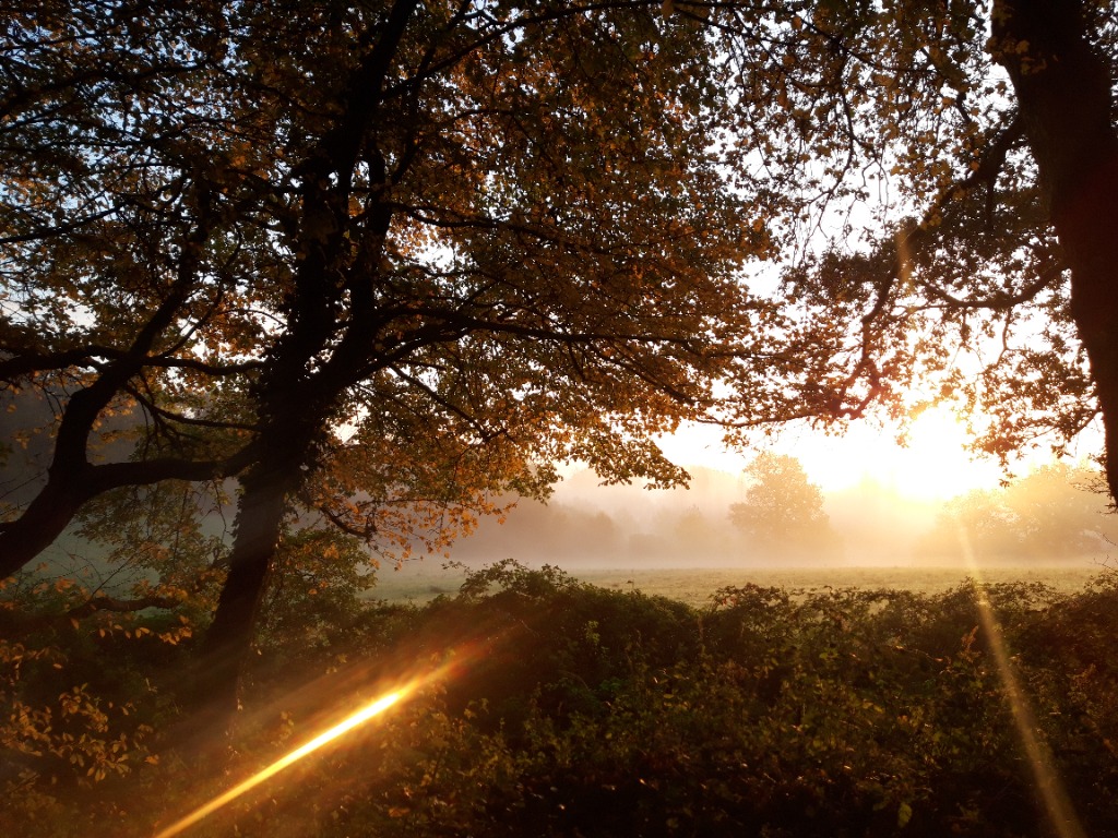 photo seance Lionel Moal