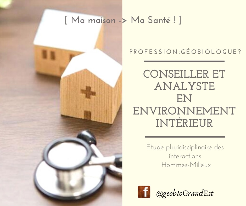 photo activite Matthieu Choin