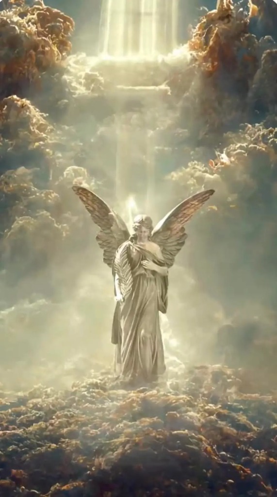 photo activite Frantz Micault