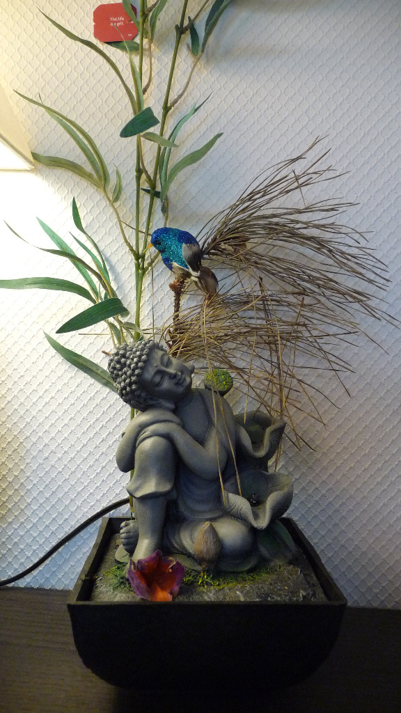 photo cabinet Isabelle Dinckel