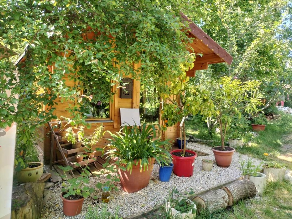 photo cabinet Joelle Vienne