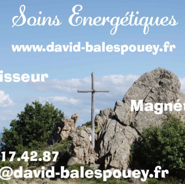 David-BALESPOUEY.fr