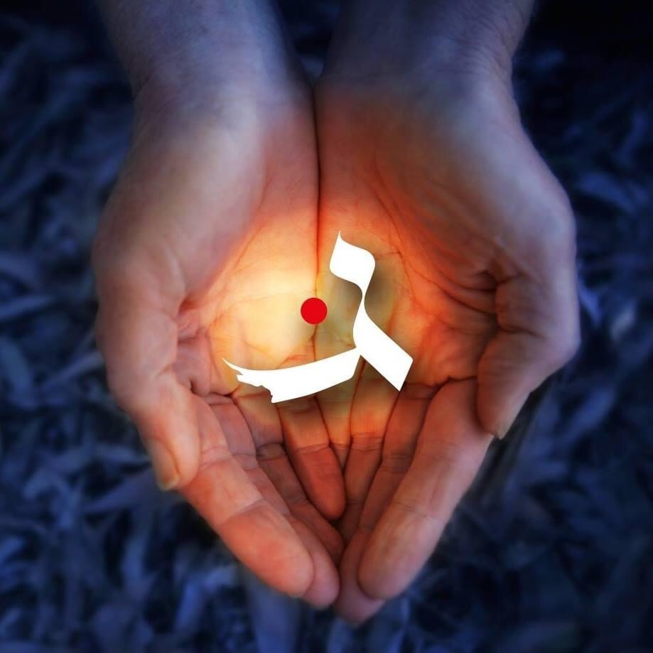 photo diplome Frédéric Troisième