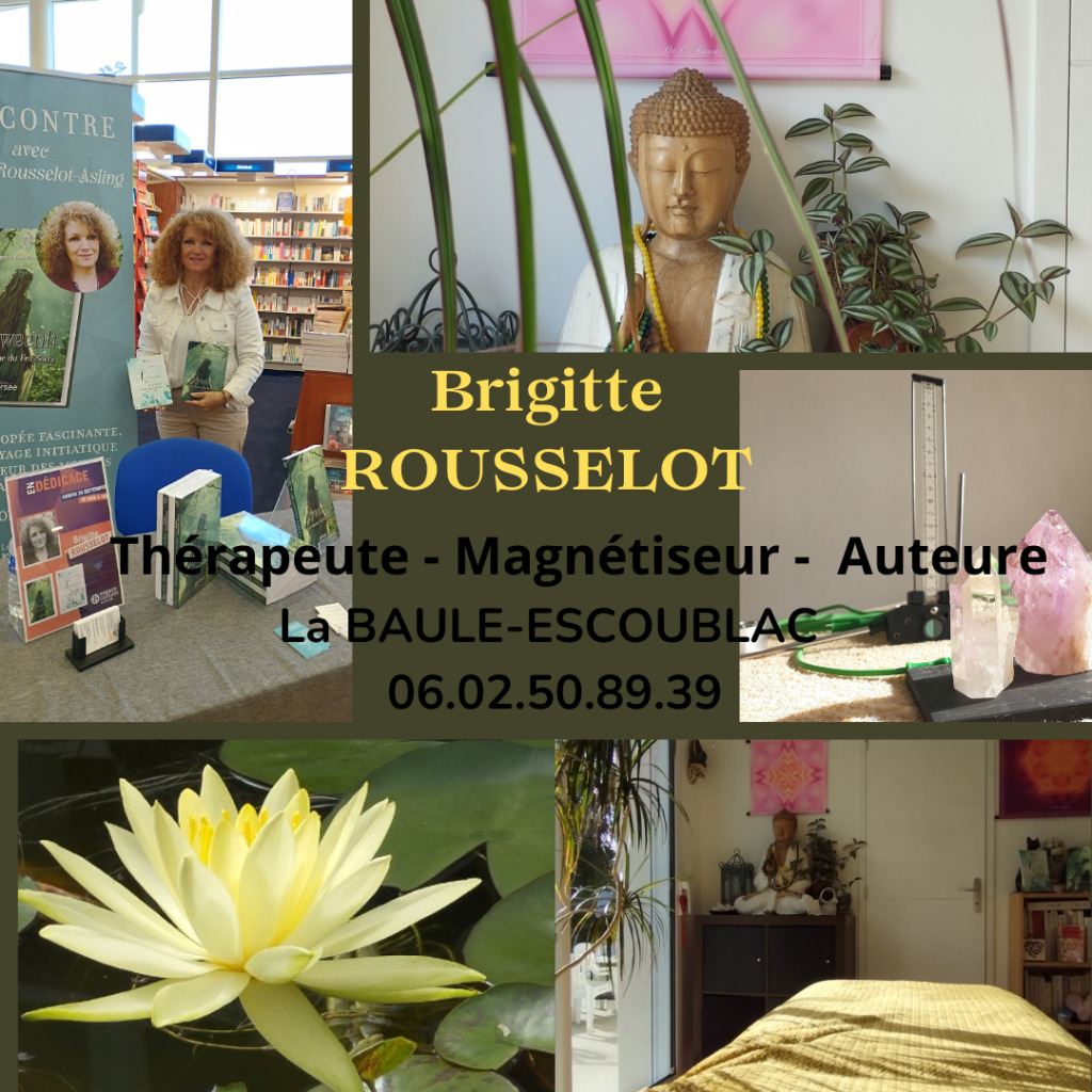 photo activite BRIGITTE ROUSSELOT