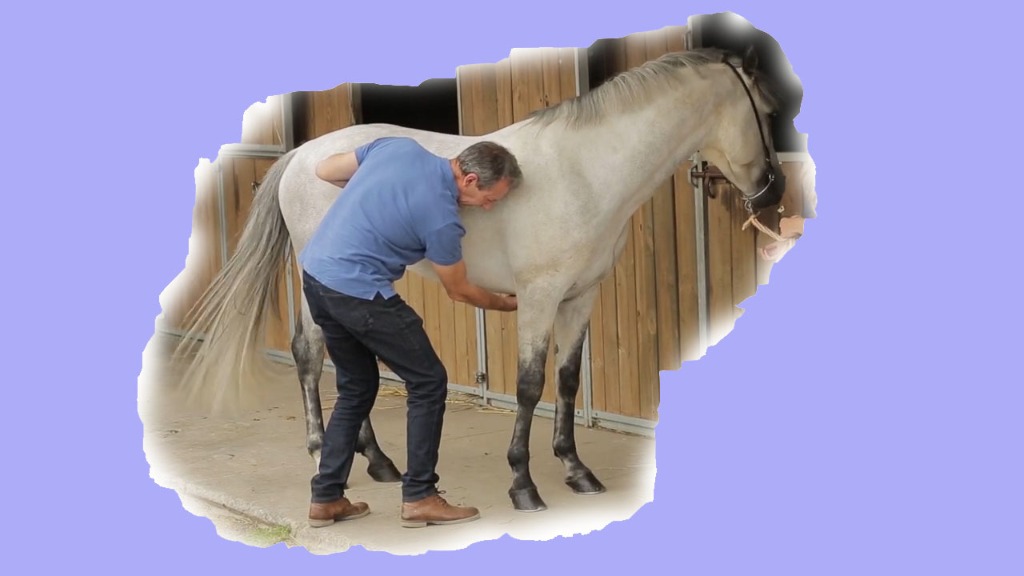 photo activite GUY NOIROT