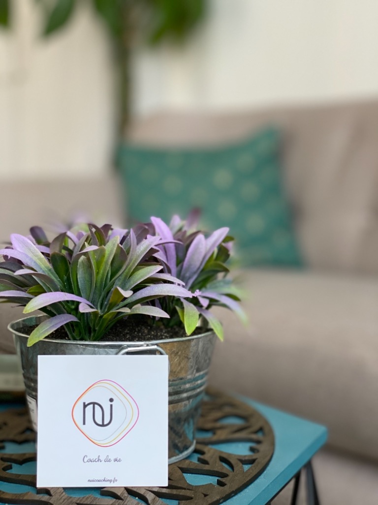 photo activite Clémence Désiré