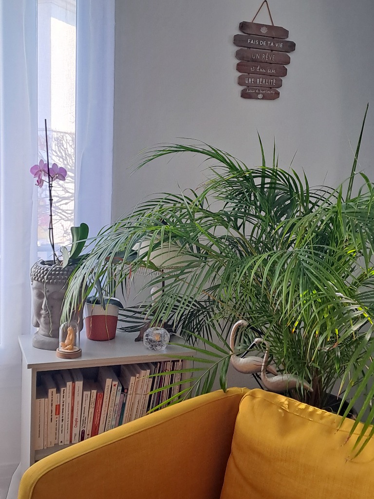 photo portrait Hagué Stéphanie Sophrologue