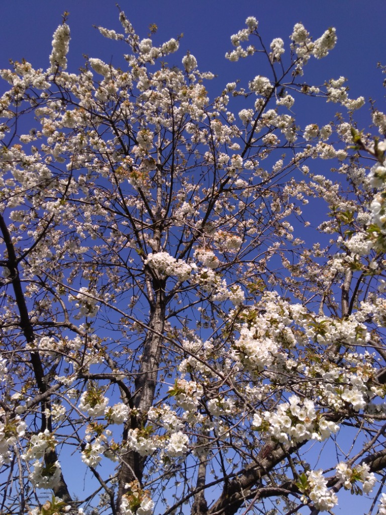 photo portrait Lauriane LEJEUNE 