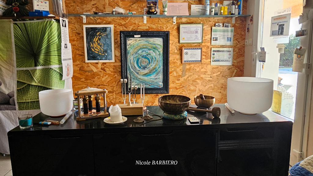 photo activite Nicole BARBIERO