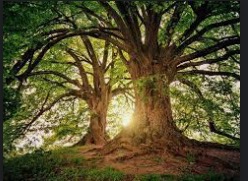 photo seance Anne KERN 