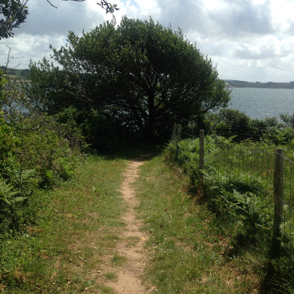 Florence Creachcadec