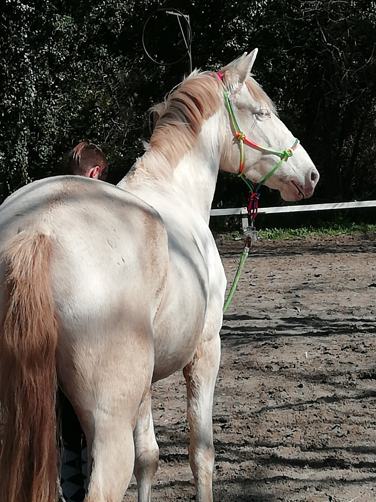 photo seance Yannique Bourglan