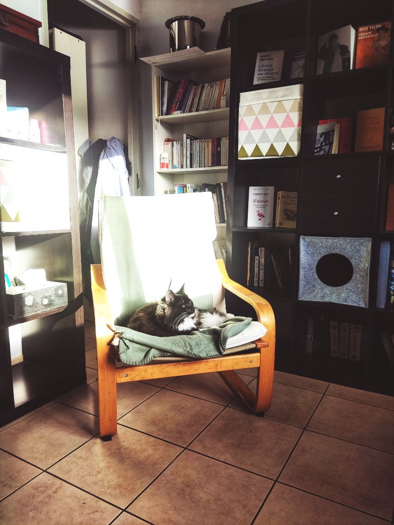 photo cabinet Patrick Duquoc