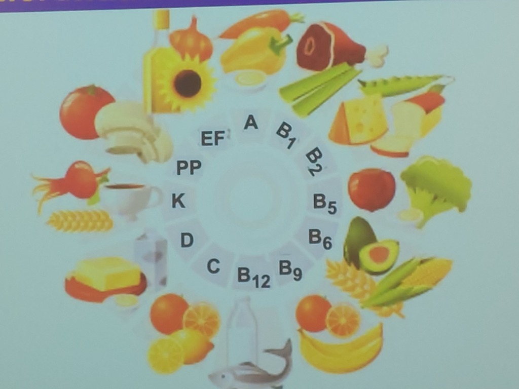 photo activite Caroline Chevalier