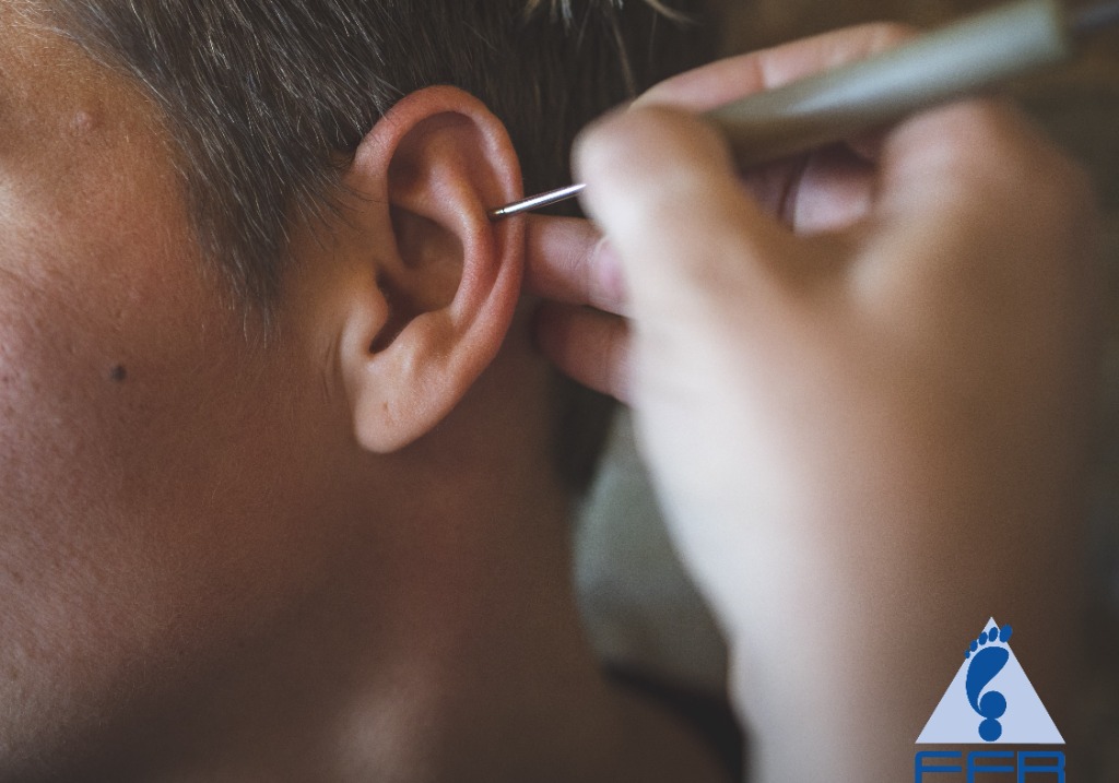 photo cabinet Julie Breheret