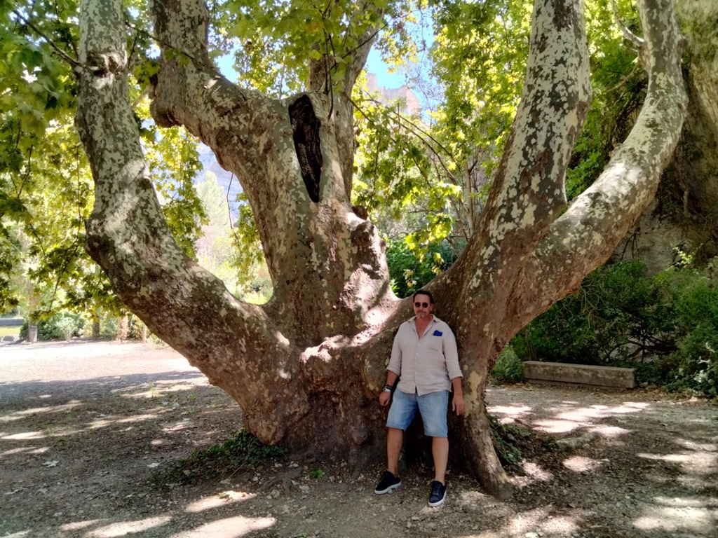 photo cabinet Guillaume Bochart Formateur