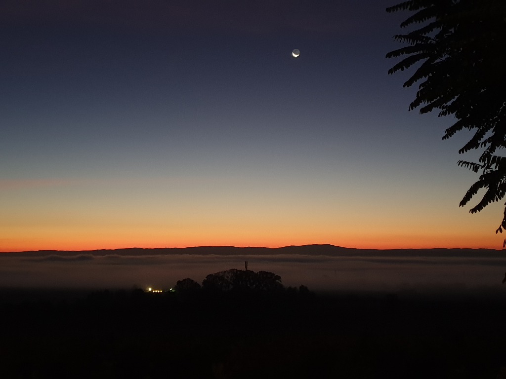 photo cabinet Brigitte Castellazzi