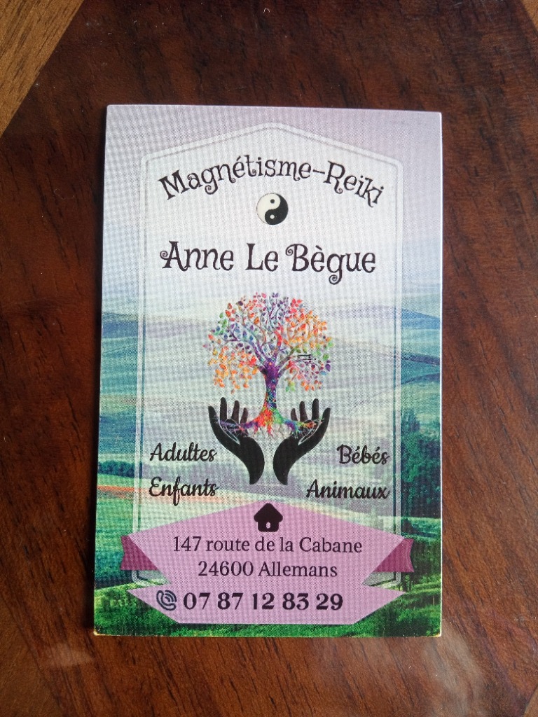 photo activite Anne Le Bègue