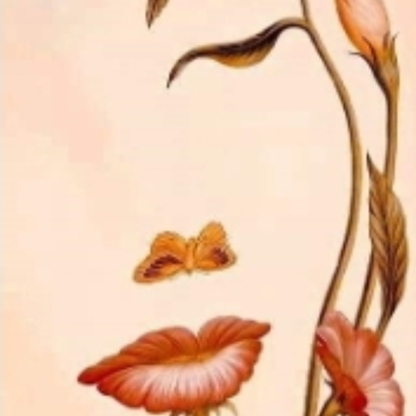 Severine Naturopathe Reitz