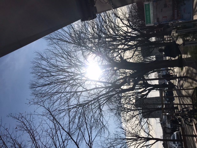 photo activite SOPHROLOGUE OWEN -EM PRUVOST