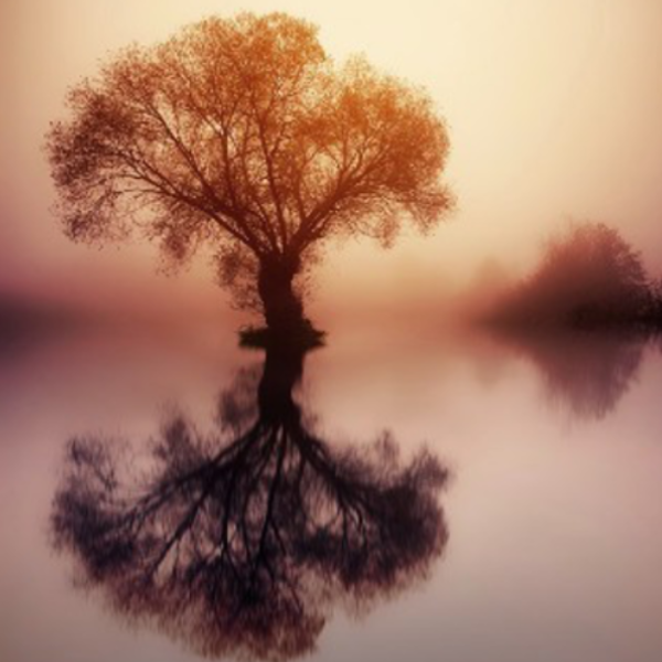 Anne-Sophie Roquefère 